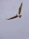 IW4Q58591.jpg