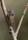 IW4Q64871.jpg