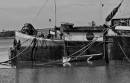 /gallery/data/501/thumbs/In_the_boat_yard_2.jpg