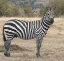 Kenya_1_011.jpg