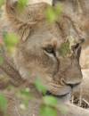 Kenya_2_010.jpg