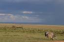 Kenya_Ambroseli_3.jpg