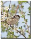 LTT140407_copy.jpg