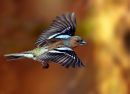 MG_0767.jpg