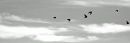 MG_1591.JPG