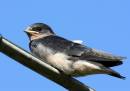 Morning-Walk_1629_edited-1.jpg