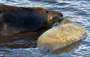 Mother_and_Baby_07.jpg