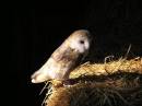 NNR_Norfolk_9_05_063.JPG