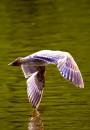 NX0S5467-Edit.jpg