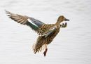P4151824_edited-2.jpg
