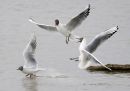 P4152051_edited-4.jpg