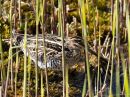 P4171056-DxO_DeepPRIME-3.jpg