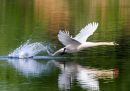 P5010069-DxO_DeepPRIME-3_edited-2.jpg
