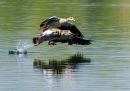 P5010093-DxO_DeepPRIME-3_edited-2.jpg