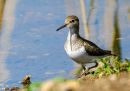 P5011027-DxO_DeepPRIME-3_edited-2.jpg