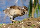 P5130004-DxO_DeepPRIME-3_edited-2.jpg
