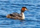P5130408-DxO_DeepPRIME-3_edited-2.jpg