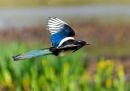 P5131320-DxO_DeepPRIME-3_edited-2.jpg