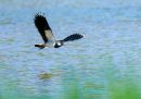 P5131356-DxO_DeepPRIME-3_edited-3.jpg