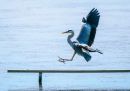 P5200251-DxO_DeepPRIME-3_edited-2.jpg