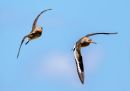 P5200844-DxO_DeepPRIME-3_edited-2.jpg