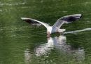 P5300258-DxO_DeepPRIME-3_edited-2.jpg