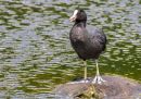 P6100215-DxO_DeepPRIME-3_edited-1.jpg