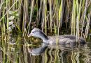 P6100314-DxO_DeepPRIME-3_edited-2.jpg