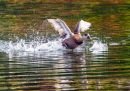 P9210176-ORF_DxO_DeepPRIME_edited-1.jpg