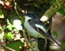 Picture_2532.jpg