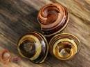 Snail-02a.jpg