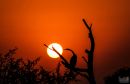 Sunset-3.jpg