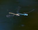 TVA37033.jpg