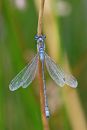 XT1A3019M.jpg