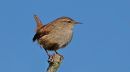 XT200918M_R.JPG