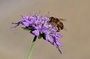 XT201429M_resize.JPG