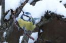 XT305642M.JPG