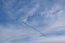 XT325225MMS18.jpg