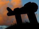 copyright_bird_silhouette_resize.jpg