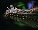 galleryimages_7_79.jpg