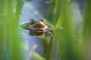 img_3418_01_passig_gemacht.jpg