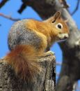 img_4817ab.jpg