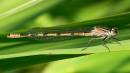 napton_reservoir_04.jpg