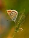 napton_reservoir_09082007-07.jpg