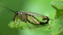 ryton_woods_02062007-21.jpg