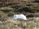 woodhead0207_058_Small_.jpg