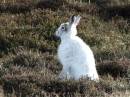 woodhead0207_059_Small_.jpg
