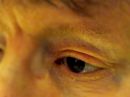 003_C_PROGRAM_PC-FIX_NOISE_WB-5750_DofF-DEFAULT.jpg