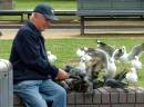 Bird_feeder-_Circular_Quay_Mar07.JPG