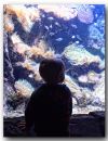 C_Dean_aquarium.jpg